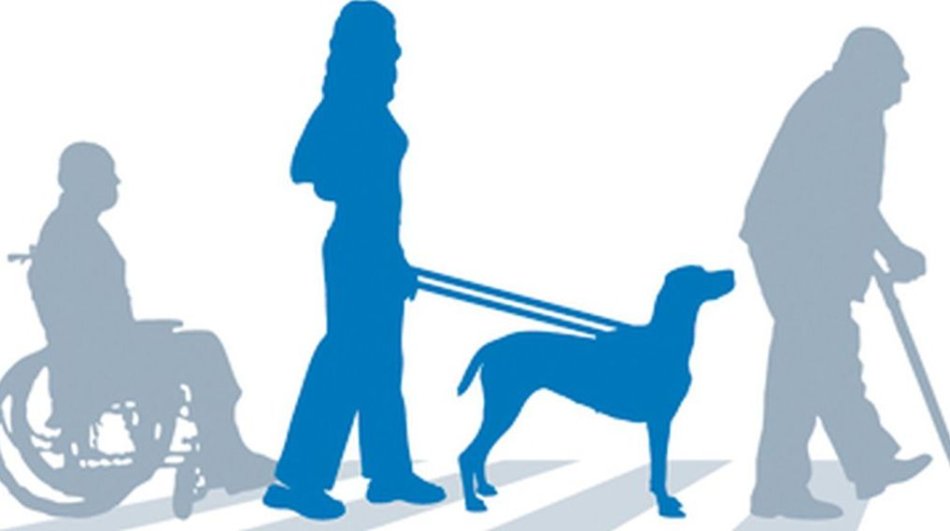 Accessibilit