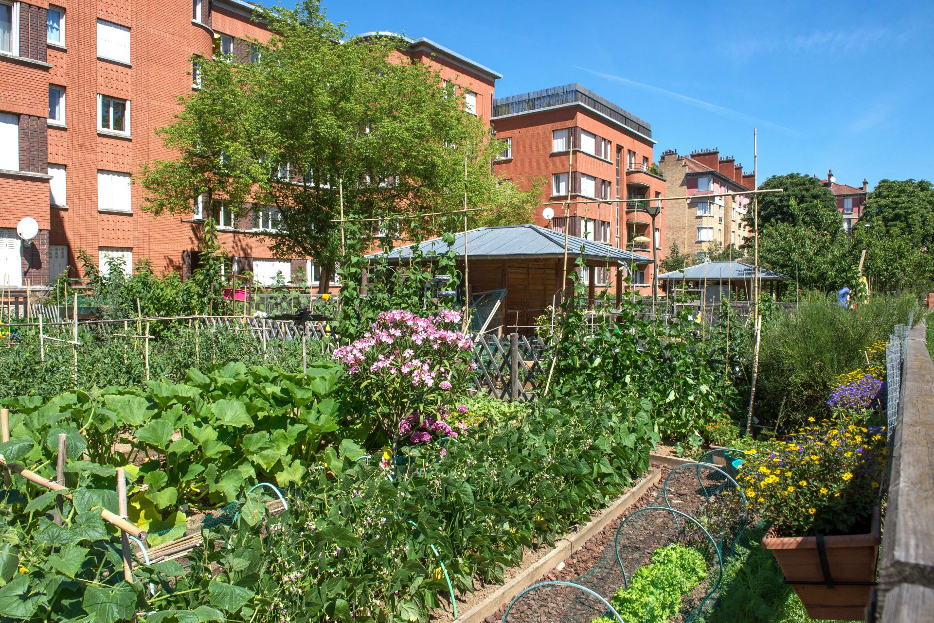 Parcs et jardins - Suresnes